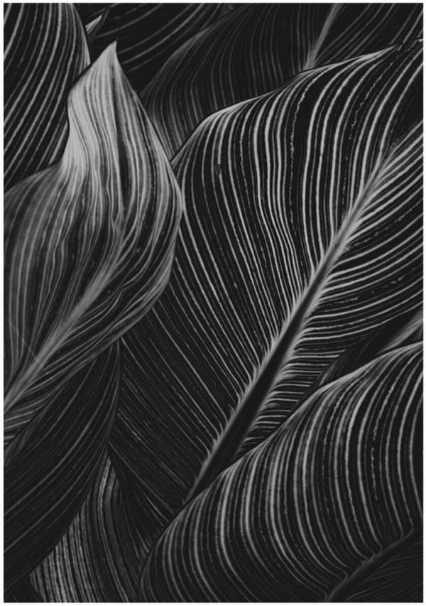 日本とスウェーデンで写真を学ぶ両国学生による共同写真展を都内2会場で3月に開催