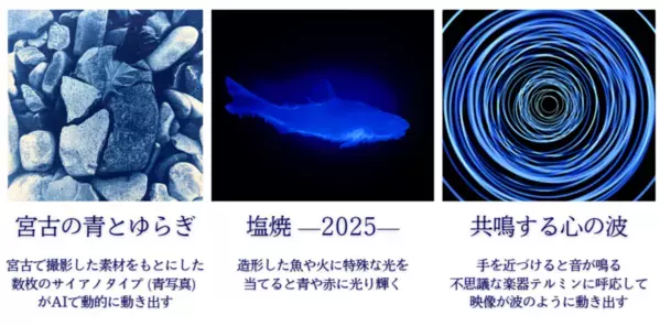 岩手県宮古市の魅力をメディアアートで楽しむ　川北輝の展覧会が宮古市民文化会館で2/8より開催