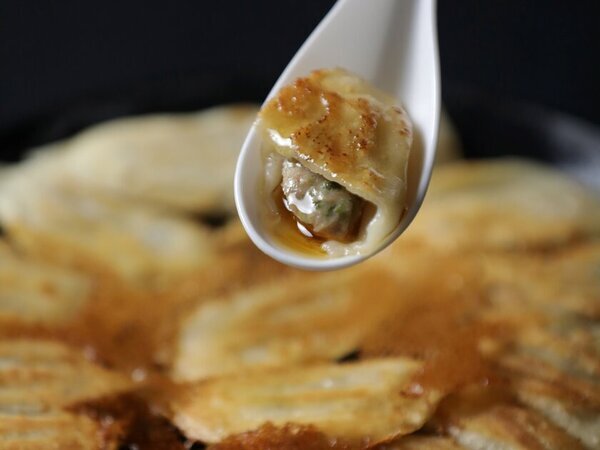 ご当地の餃子が集結！『全日本ぎょうざ祭り2025春』　愛知県での開催に向け、前売入場券を2月8日から販売開始