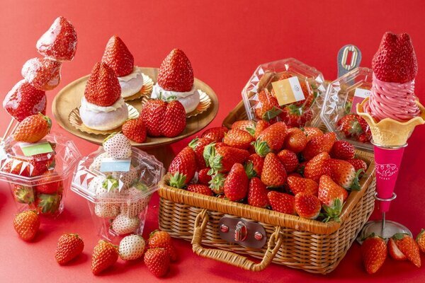 【いちご専門店 いちごBonBonBERRY】今が旬の静岡いちごを味わい尽くすいちごの祭典！いちごいっぱいの収穫祭を2月8日(土)から開催！