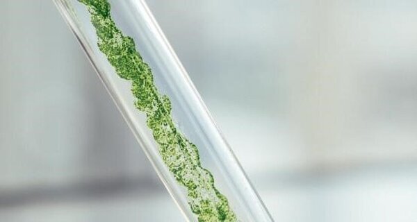 大林組と日鉄興和不動産が取り組むオフィスワーカー向けマッチングサービス「みんまちSHOP」に、アルガルバイオが参加