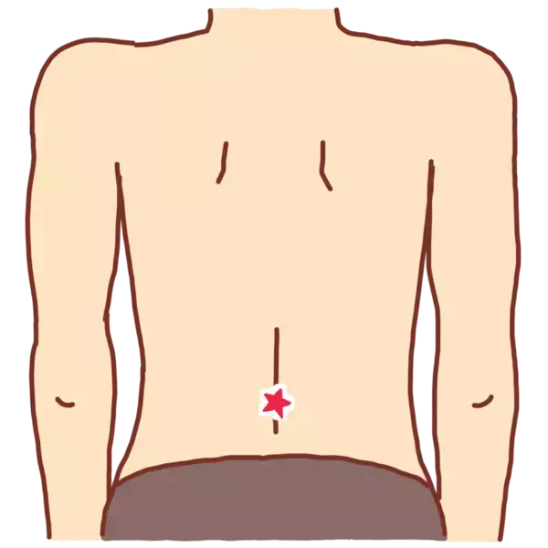 腎臓の健康を守るための活動(腎活)が注目！“腎”を養う新サプリ「命門丹」の商品情報ページを公開　初めての方へ“5日分お試しセット”も販売開始