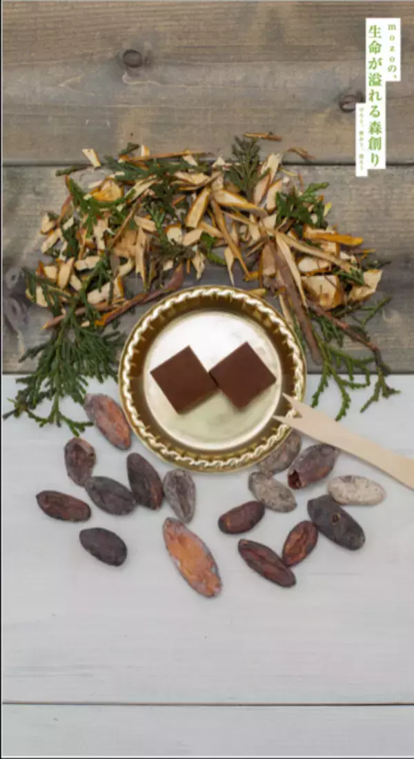 里山の木資源を活かすmozoの新たな2つの試み。木資源を食資源に活かすチョコレート・商業施設家具の展開を開始