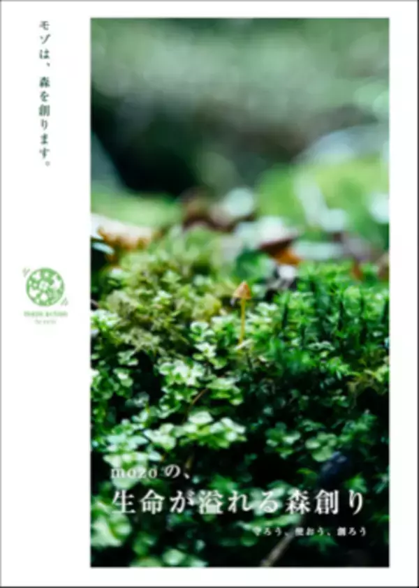 里山の木資源を活かすmozoの新たな2つの試み。木資源を食資源に活かすチョコレート・商業施設家具の展開を開始