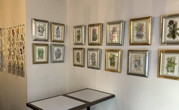 猫アレルギーの方も楽しめる猫好きのためのバー＆カフェ「BellaGattoちゅら猫」2月・3月に猫の日月間イベントを開催！