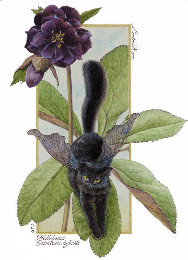 猫アレルギーの方も楽しめる猫好きのためのバー＆カフェ「BellaGattoちゅら猫」2月・3月に猫の日月間イベントを開催！