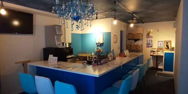 猫アレルギーの方も楽しめる猫好きのためのバー＆カフェ「BellaGattoちゅら猫」2月・3月に猫の日月間イベントを開催！