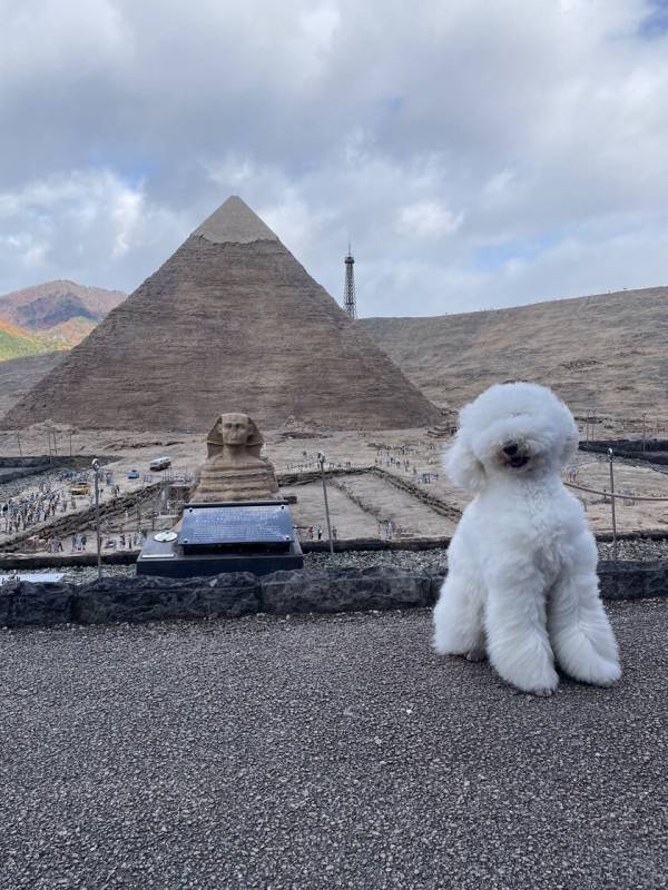 東武ワールドスクウェアで「犬国記念日」を2月11日に開催！わんちゃんイベント盛りだくさんの一日