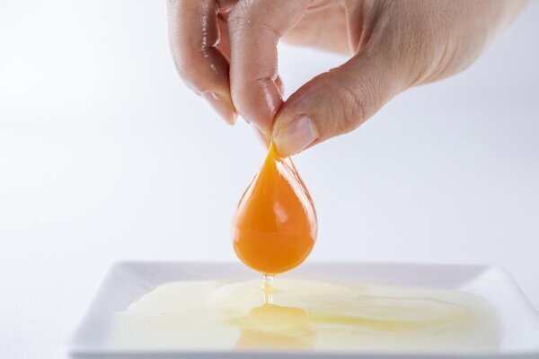 茨城・たまご専門店TAMAGOYA常総ハウス・レストラン　日本で唯一！オリジナルブランド卵「天てり卵」を味わえる道の駅常総のたまご専門店　甘く心もとろけるチョコスイーツと春の茨城のお野菜を使った新メニューが2025年2月5日(水)より期間限定スタート