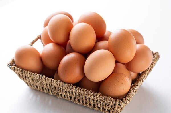 茨城・たまご専門店TAMAGOYA常総ハウス・レストラン　日本で唯一！オリジナルブランド卵「天てり卵」を味わえる道の駅常総のたまご専門店　甘く心もとろけるチョコスイーツと春の茨城のお野菜を使った新メニューが2025年2月5日(水)より期間限定スタート