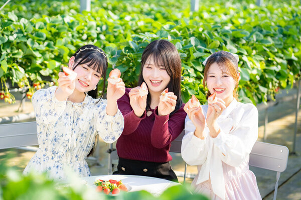 ひたちなかの大型観光いちご農園がその場で食べられるいちご大福自作セットの提供開始　平日予約特典やフォトコンテストも実施！