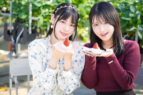 ひたちなかの大型観光いちご農園がその場で食べられるいちご大福自作セットの提供開始　平日予約特典やフォトコンテストも実施！