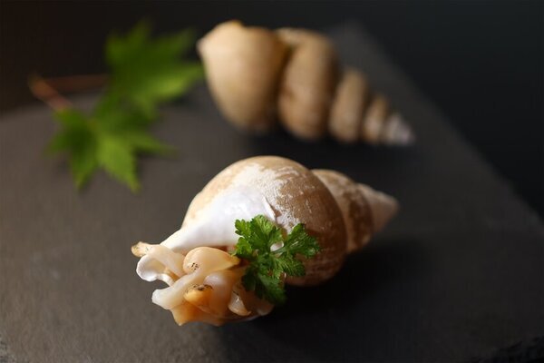 島根県隠岐諸島の隠岐プラザホテル・Entôの春の初物岩牡蠣や地酒を楽しむ「島びらき」開催　体験型プログラムや3月1日・2日限定 特別ご宿泊プランが登場