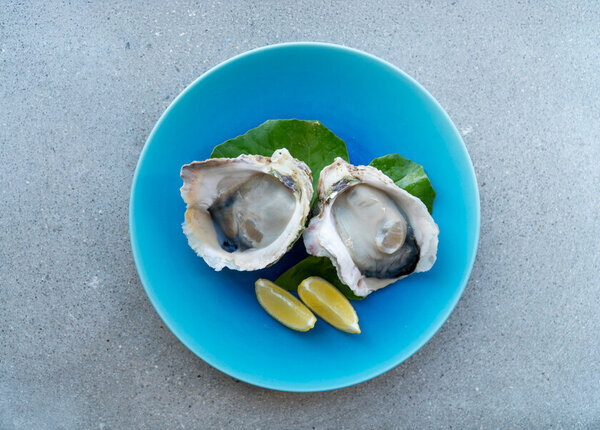 島根県隠岐諸島の隠岐プラザホテル・Entôの春の初物岩牡蠣や地酒を楽しむ「島びらき」開催　体験型プログラムや3月1日・2日限定 特別ご宿泊プランが登場