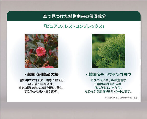 韓国で話題のクリーンビューティーブランド「FoRest by Greenfinger」が「＠cosme OSAKA」と「＠cosme TOKYO」で期間限定発売開始！