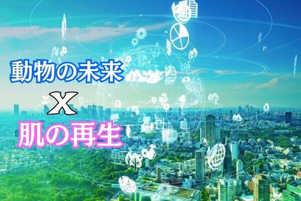 動物支援ができるクルエルティフリー化粧品「gradis」「Pamela」　クラウドファンディングを開始！肌と動物にやさしいエイジングスキンケア