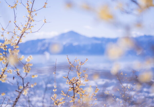 羽生・熊谷から長瀞・秩父へおでかけしよう！「長瀞・秩父GO!GO!フリーきっぷ」を2月8日(土)～3月14日(金)期間限定販売