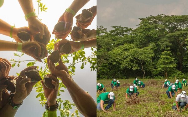 「フロール・デ・カーニャ」の魅力を映し出す、大自然の力強さを表現するオリジナルカクテルが「THE KNOT HIROSHIMA」に登場！