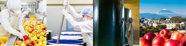 【約8割の人が知らない酵母菌の魅力】累計販売実績150万本突破したコーボンから2月9日(日)より『コーボンGABA K525(レモングラスブレンド)』が期間限定で先行販売開始