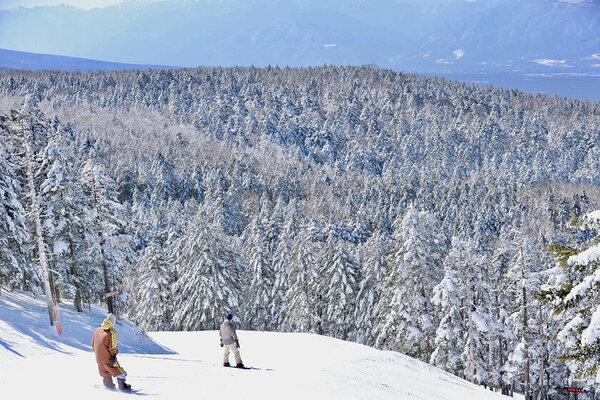 特賞はなんと全11スキー場共通の来季シーズン券！八ヶ岳周辺のスキー場で「ラーメンバトル」開催中！