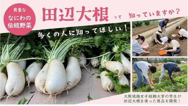 大阪城南女子短期大学と共同開発したオリジナルパンを販売～なにわの伝統野菜“田辺大根の葉”を有効活用～
