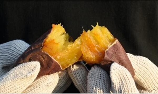 「さつまいも博2025」「お花見ウォーカーフェス2025」などグルメイベントが充実！「春のけやき彩2025」2/20(木)からけやきひろば等で開催