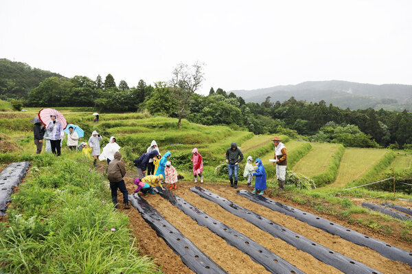 『遠州織物×久留女木の棚田プロジェクト』による久留女木の棚田で栽培した“綿花”が初の製品となって登場　3月6日よりシャツ・ブラウス・スカート全9種を販売開始！