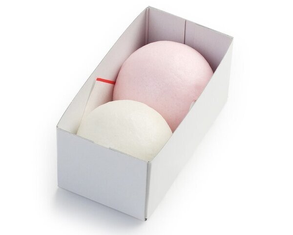 「花の宴 梅まつり2025」滋賀県最大級の梅見スポット！開苑40周年を迎える寿長生の郷で2月22日より開催