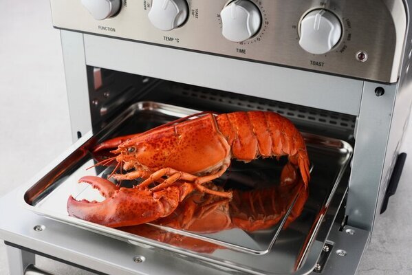 「ピザストーン」付属でいつもの冷凍ピザが感動の美味しさに　クイジナート「エアフライ オーブントースター」新モデルが3月中旬発売