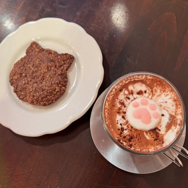 猫にまつわる「もの」「こと」「たべもの」でおもてなし！「第20回 ねこまつり at 湯島」2月19日(水)～3月16日(日)開催