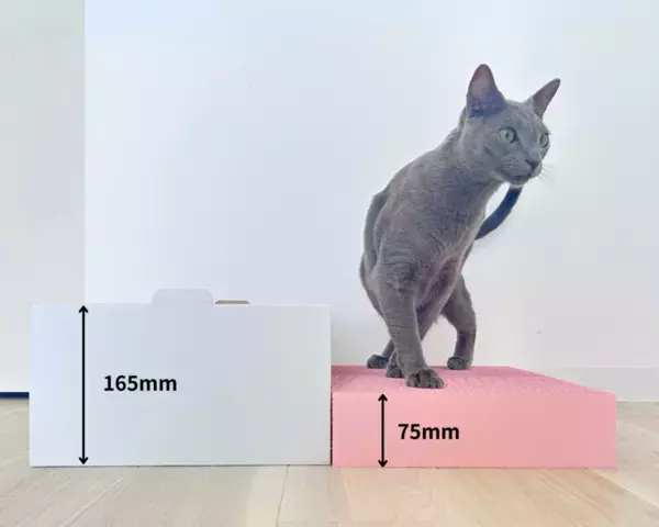 猫に嬉しい2WAY設計の「爪とぎBOX」　ピンク色の可愛いデザインの新商品を2月22日(ねこの日)に発売！