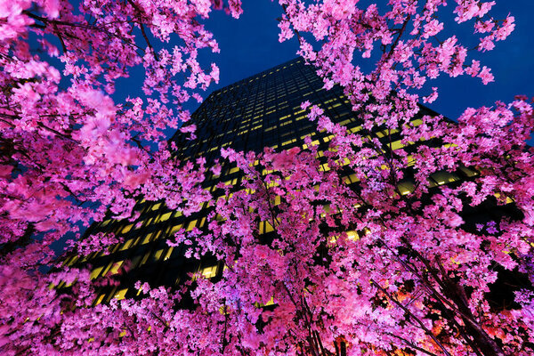 大名古屋ビルヂング開業9周年「9周年サクラアニバーサリー」を3月5日より開催