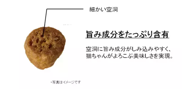 “食事の吐き戻しを軽減する”※1猫用健康機能食『AllWell』から「10種の自然素材」シリーズを新発売