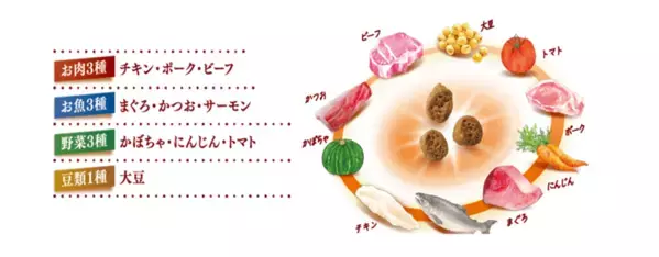 “食事の吐き戻しを軽減する”※1猫用健康機能食『AllWell』から「10種の自然素材」シリーズを新発売