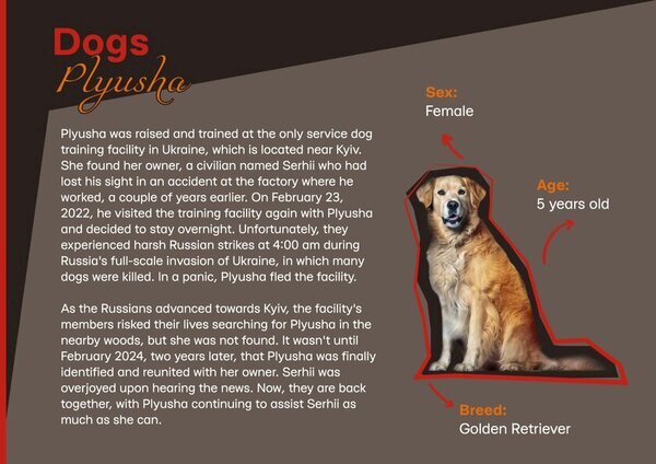 日本とウクライナの合作映画「プリューシャ～奇跡の盲導犬」のクラウドファンディングを4月4日まで実施