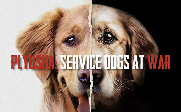 日本とウクライナの合作映画「プリューシャ～奇跡の盲導犬」のクラウドファンディングを4月4日まで実施