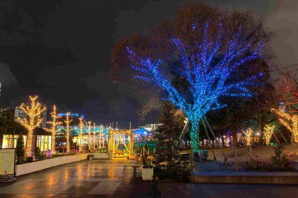 天王寺公園エントランスエリア「てんしば」のイルミネーションが3月1日（土）からリニューアル