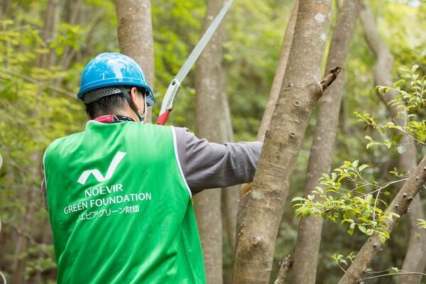 高校生以上対象 兵庫県「六甲山」の整備活動　3月12日(水)参加者募集開始