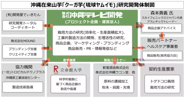 沖縄在来山芋“クーガ芋(琉球ヤムイモ)”の粘膜免疫賦活化研究で特許を出願　～インフルエンザ＆花粉の季節に新たな期待～