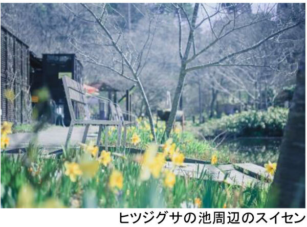 ROKKO森の音ミュージアムミュージアム＆ガーデン年間イベントスケジュール発表