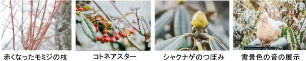 ROKKO森の音ミュージアムミュージアム＆ガーデン年間イベントスケジュール発表