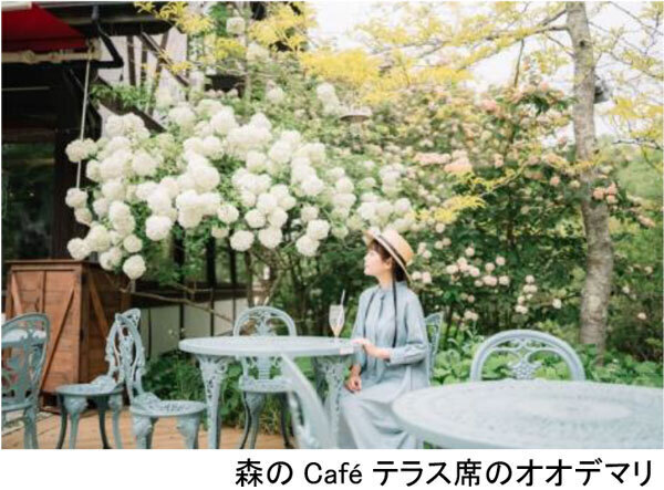 ROKKO森の音ミュージアムミュージアム＆ガーデン年間イベントスケジュール発表