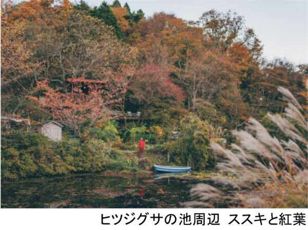 ROKKO森の音ミュージアムミュージアム＆ガーデン年間イベントスケジュール発表