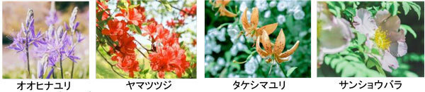 ROKKO森の音ミュージアムミュージアム＆ガーデン年間イベントスケジュール発表