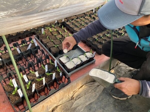 鹿児島発！火山灰「シラス」を活用した未来の農業を支える資材「オリジンジオ(R)」が有機JAS規格適合資材として登録認定