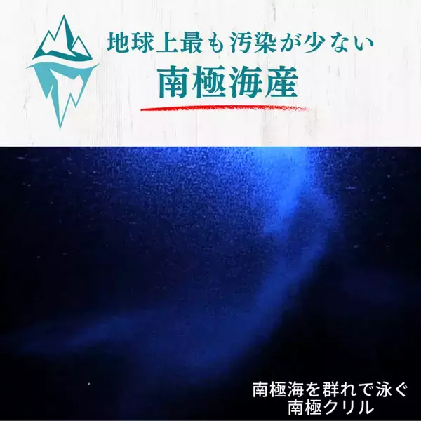 オメガ3サプリメント「くじらさんのクリルオイル」に、持続可能な漁業で獲られた水産物の証「MSC認証ラベル」を先駆けて付与