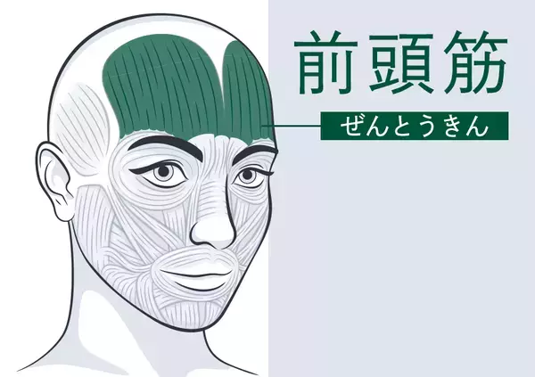 日本初 目が”ととのう”極上サロン 累計施術数3000件突破！15分で瞬間休息。眼精疲労・目疲れ専門店「AND BLINQ」