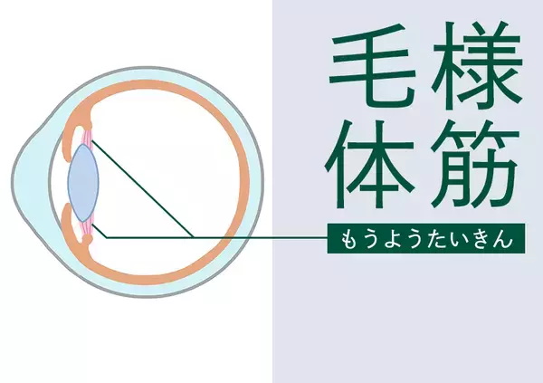 日本初 目が”ととのう”極上サロン 累計施術数3000件突破！15分で瞬間休息。眼精疲労・目疲れ専門店「AND BLINQ」