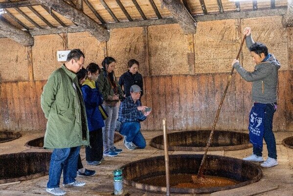 創業128年目の天然木桶醤油蔵が工場見学を開始！福岡県SDGs認定の糸島 北伊醤油で利き醤油体験！