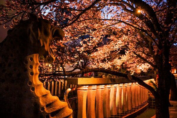 ＜静岡県熱海市＞糸川遊歩道イルミネーション完成記念！熱海の飲食店を巡るデジタルラリーを3月23日(日)より開催